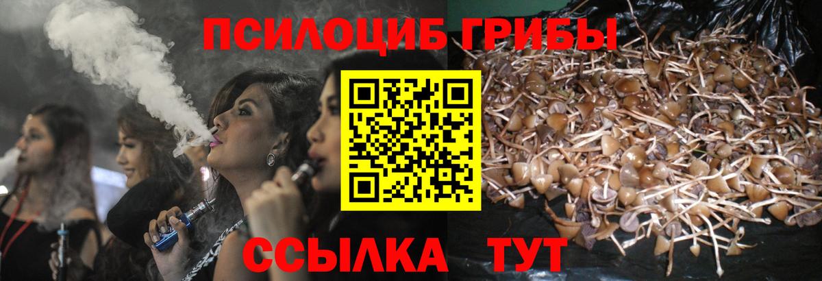 Галлюциногенные грибы прущие грибы  Вход с VPN  Ликино-Дулёво  Псилоцибиновые грибы Psilocybe 